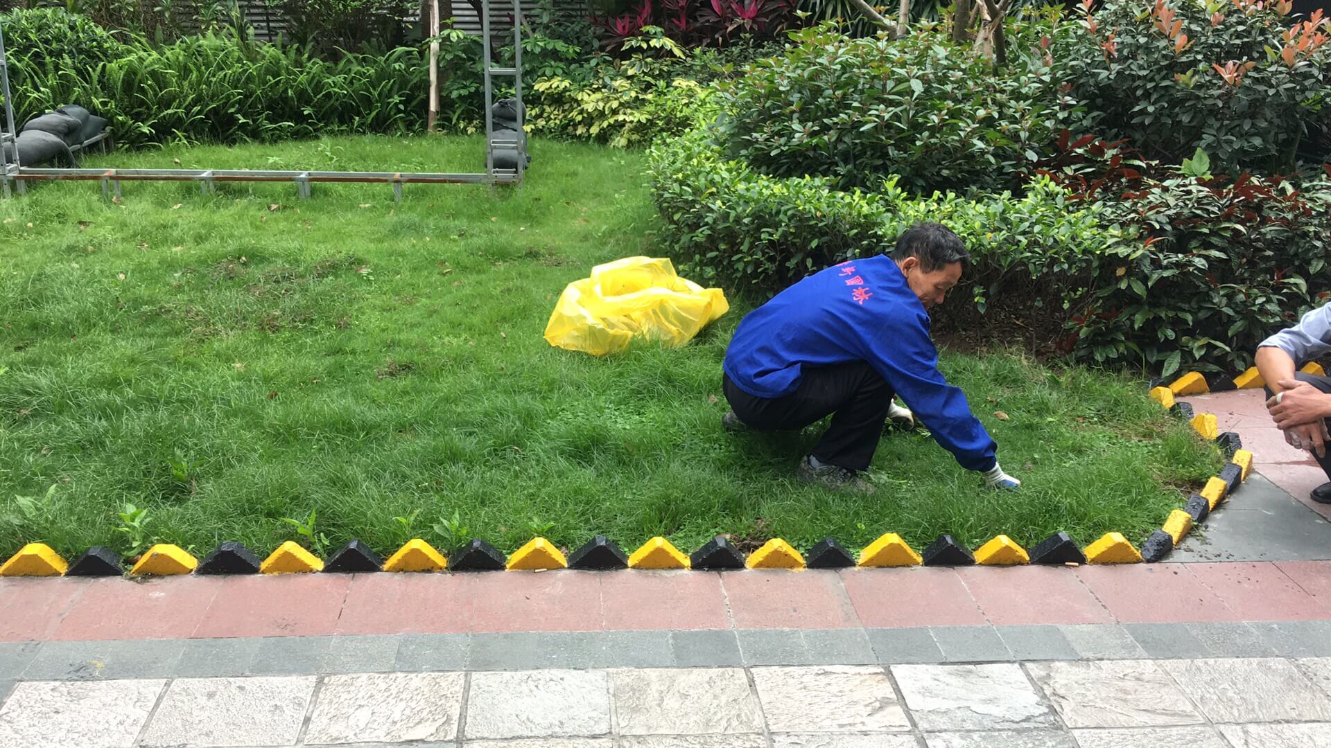 绿化养护草坪管理 绿化养护草坪管理
