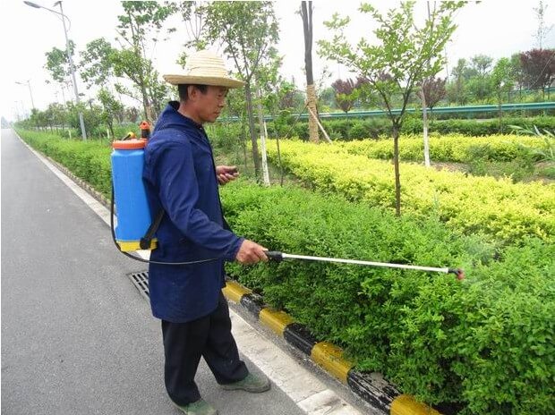 绿化养护病虫害防治 绿化养护病虫害防治