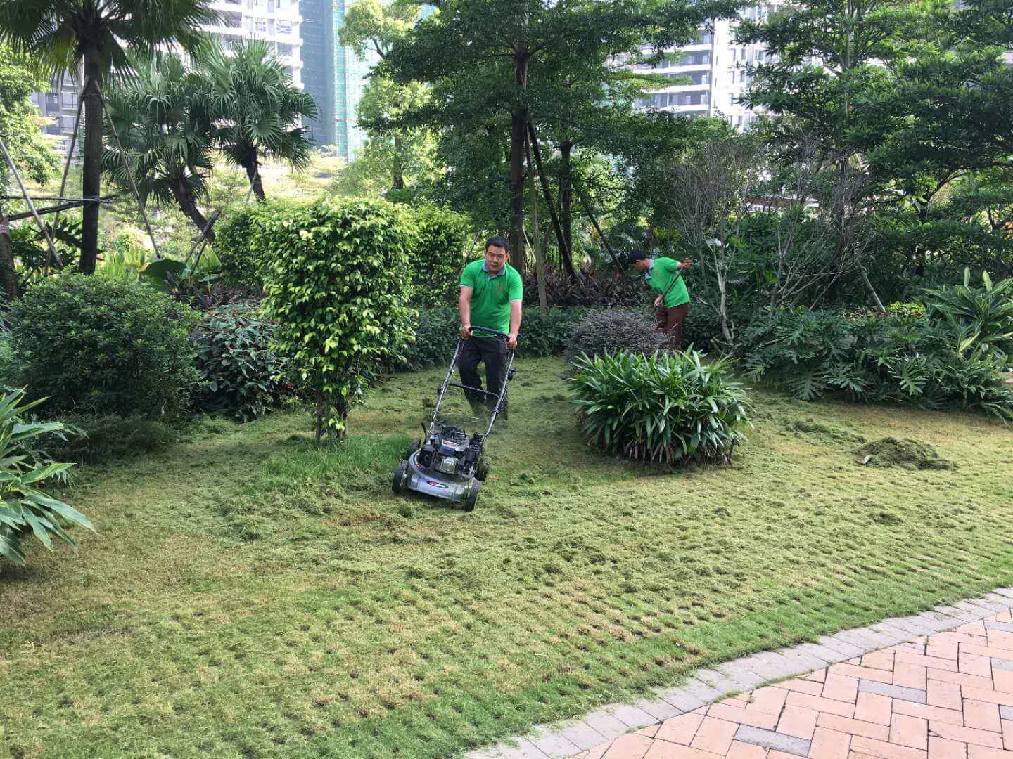 绿化养护草坪修剪
