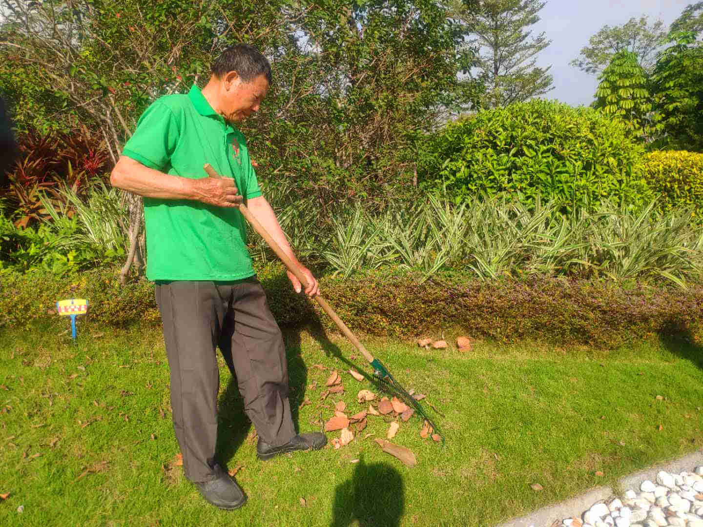 佛山绿化养护的具体内容