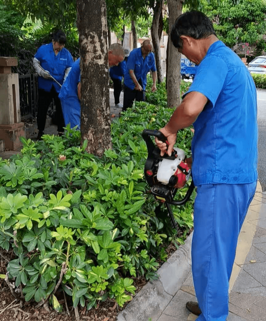 小区绿化养护日常修剪