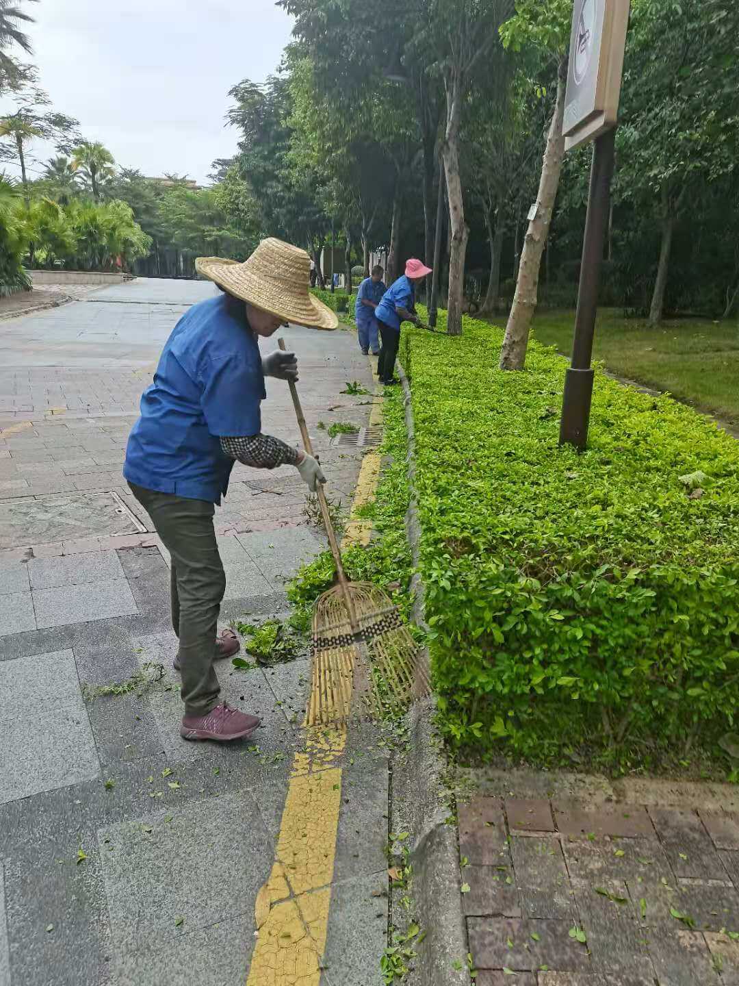 小区绿化养护清理落叶