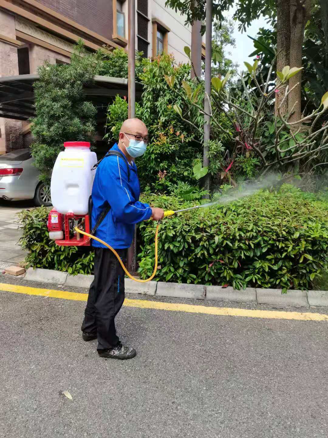 小区绿化养护