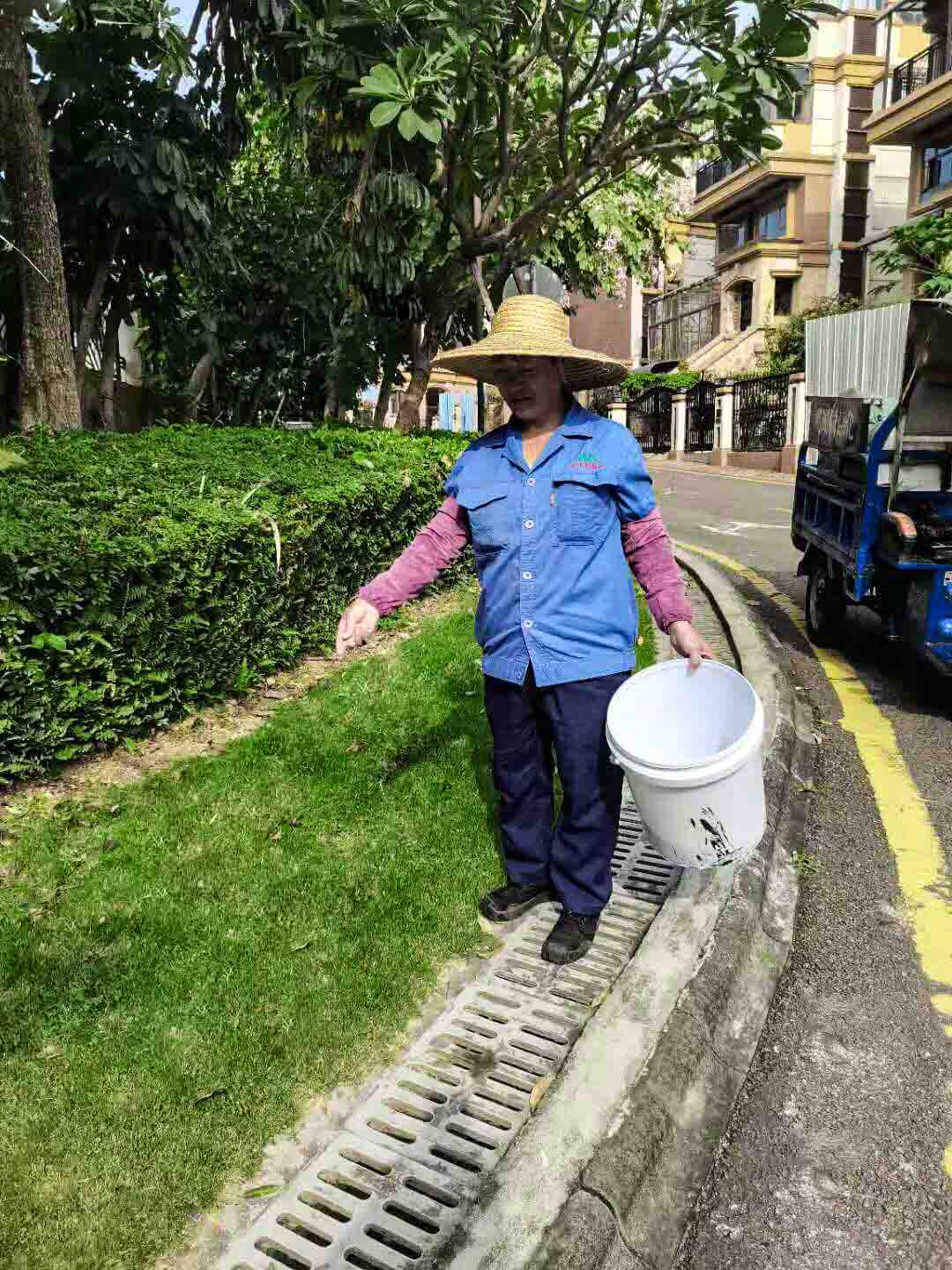 小区绿化养护