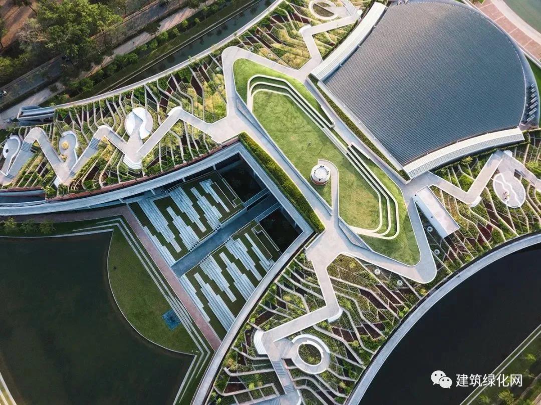 房顶农场,深圳园林绿化公司 房顶农场,深圳园林绿化公司