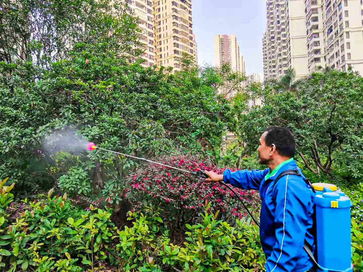 园林绿化养护,除草剂