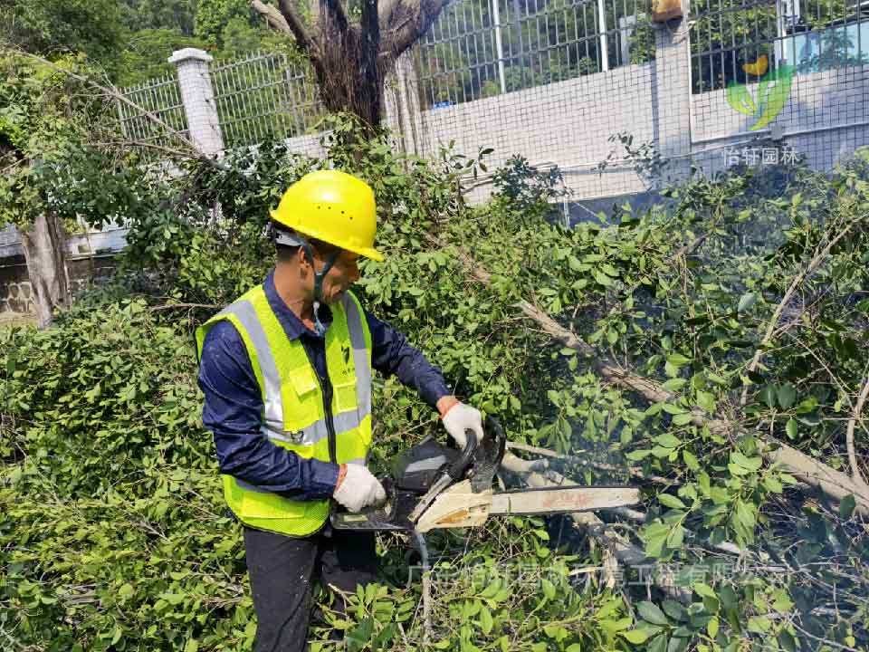 绿化工程,园林绿化公司 绿化工程,园林绿化公司