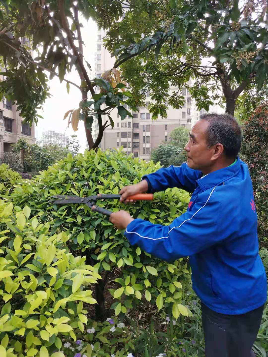 景观工程