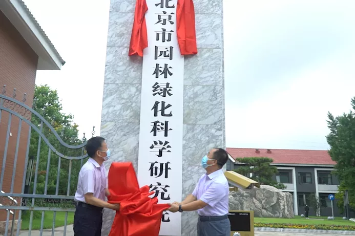 园林绿化