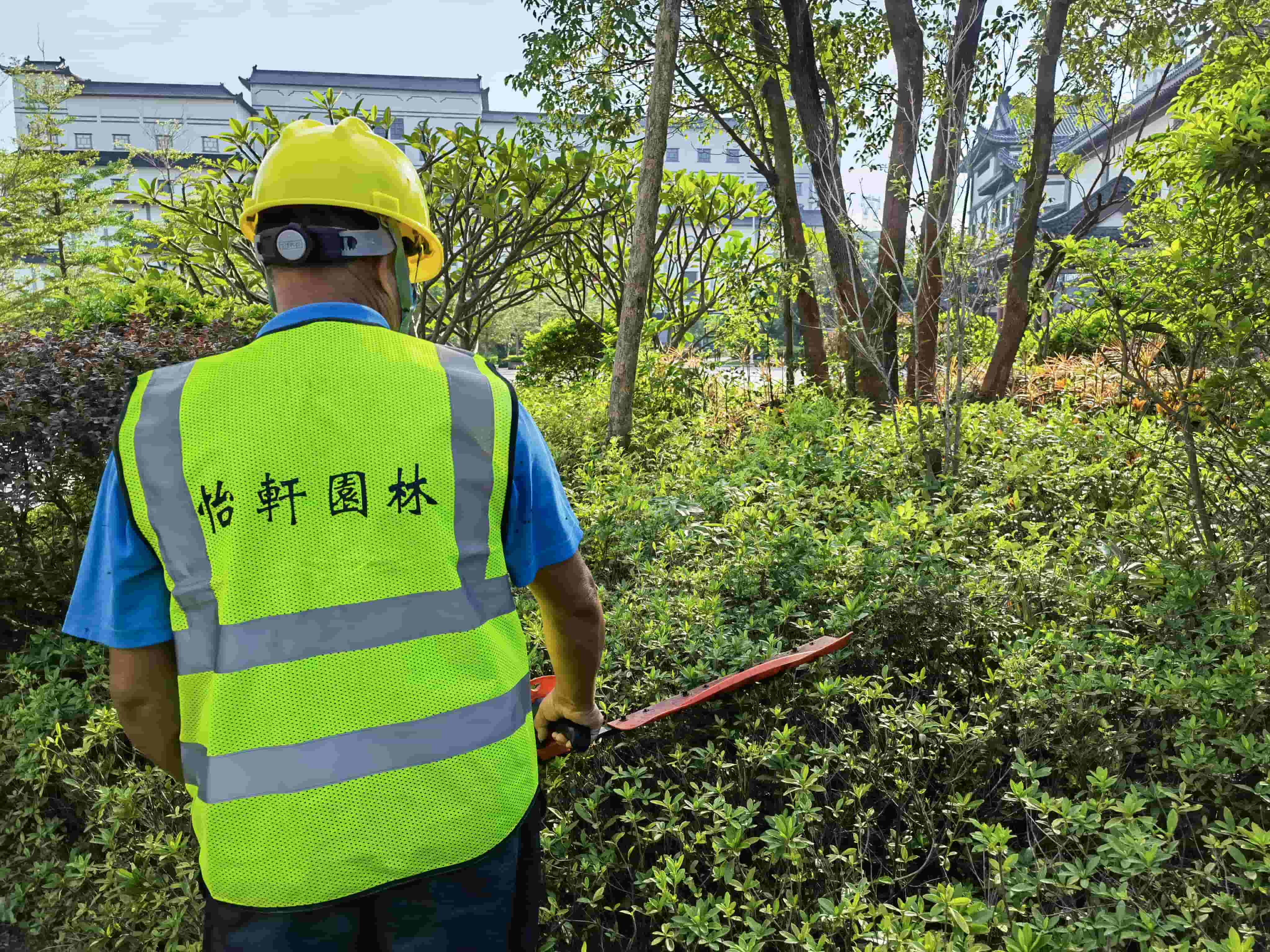 园林绿化养护