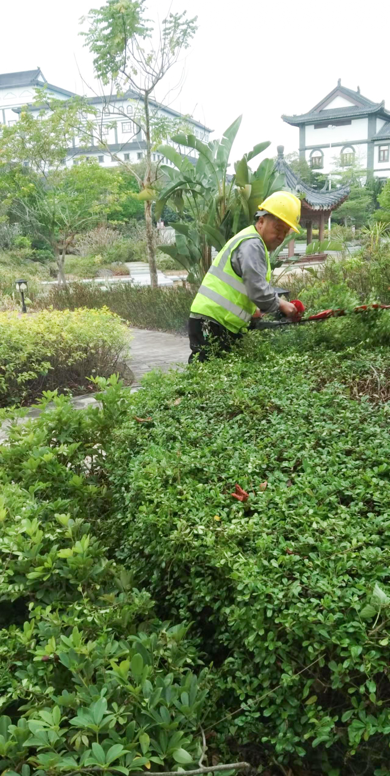 园林绿化养护