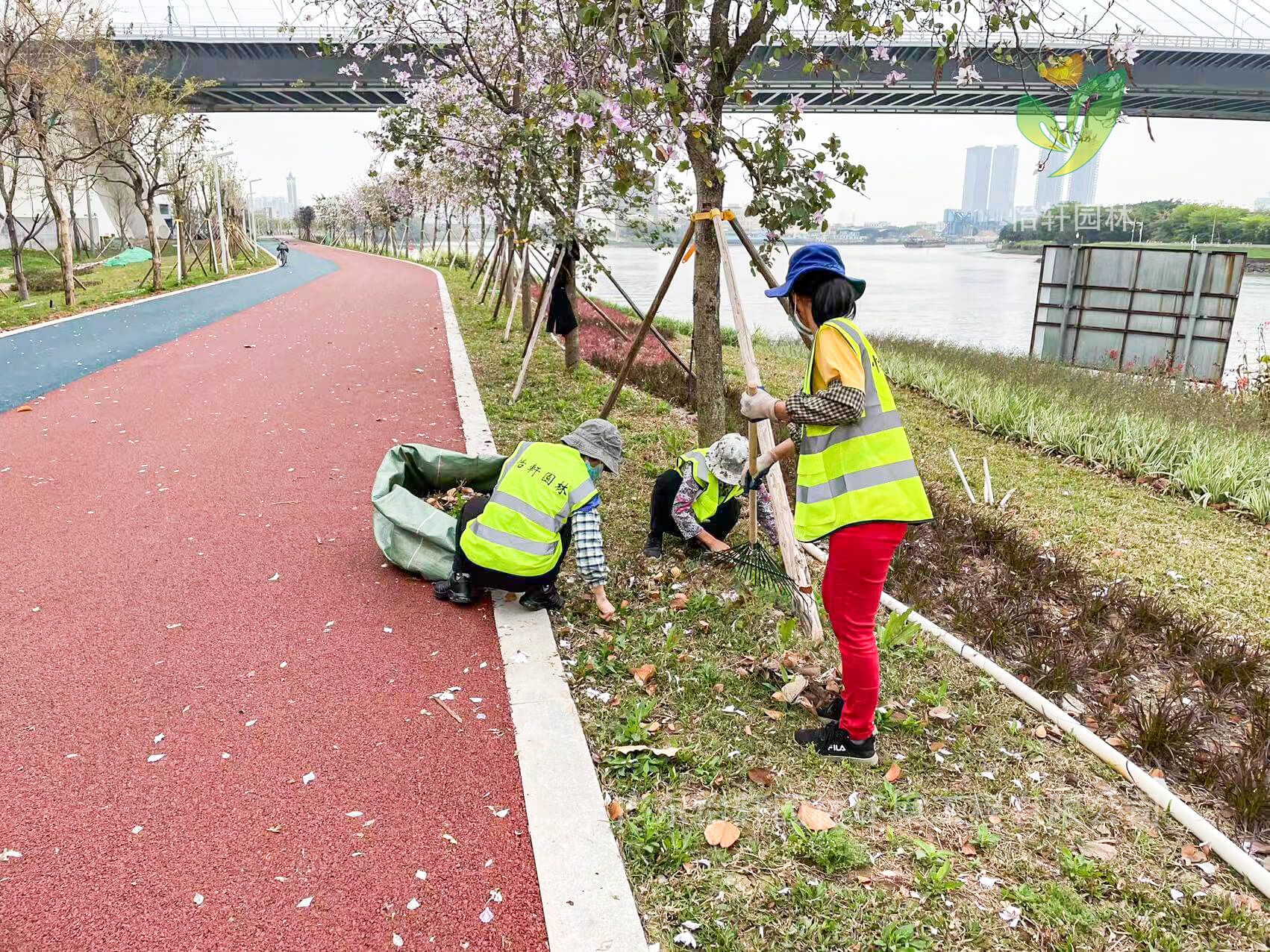 园林绿化公司