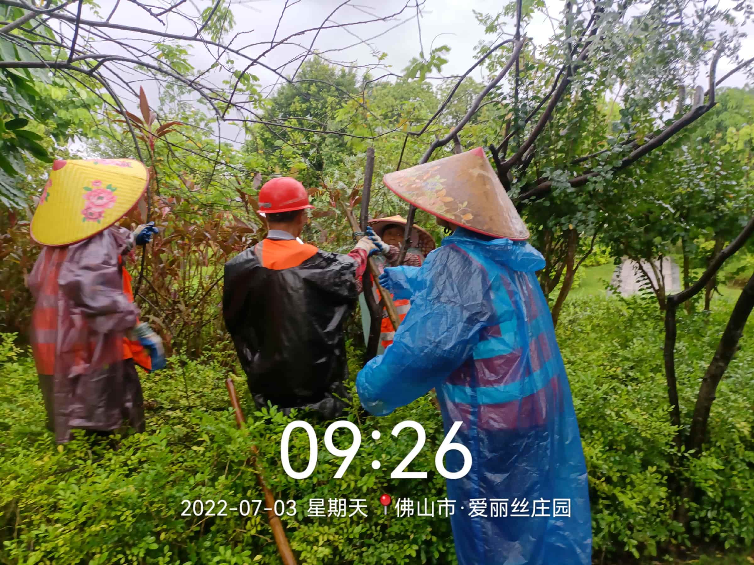 园林绿化养护