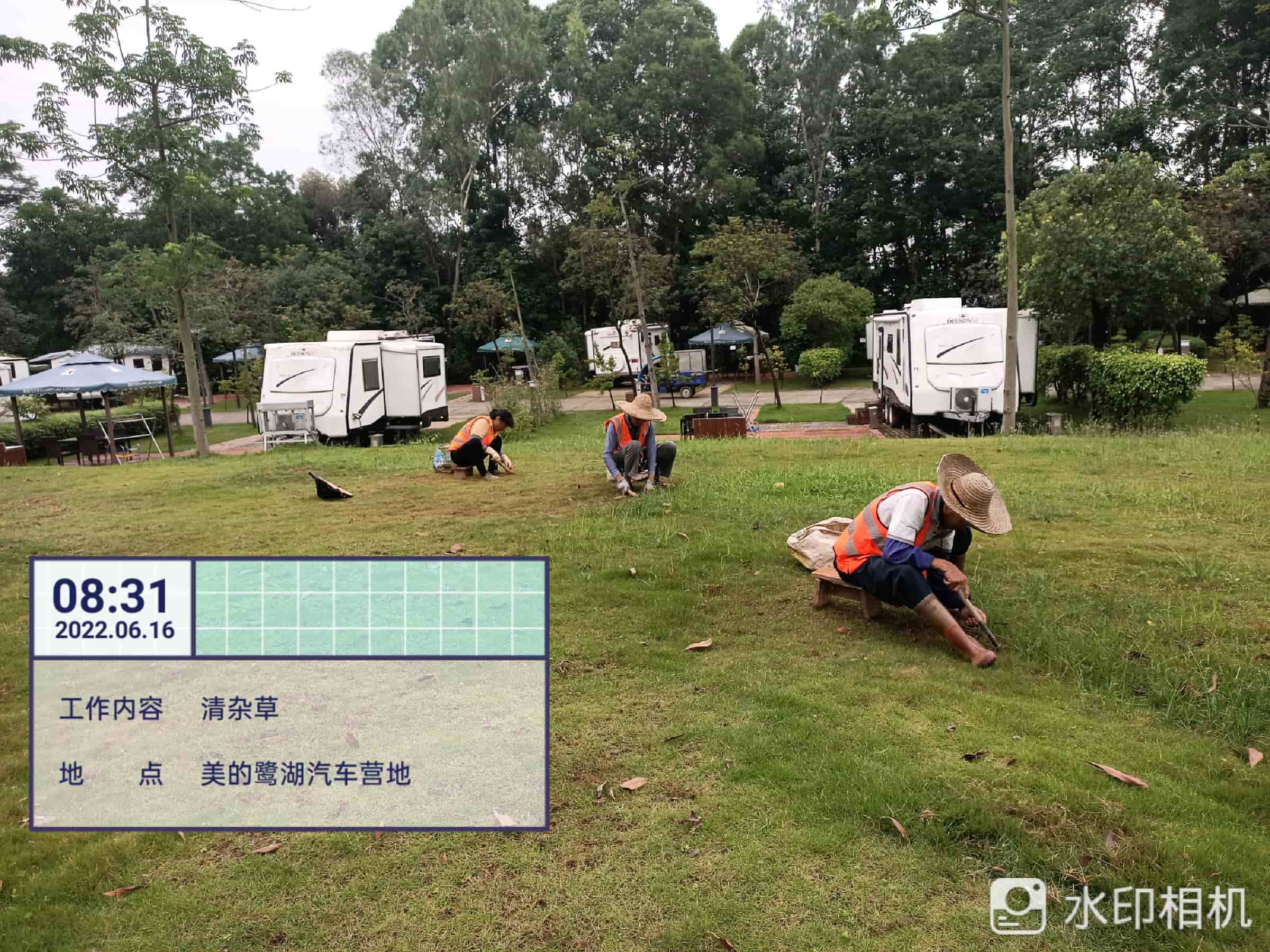 园林绿化,绿化养护,园林绿化公司