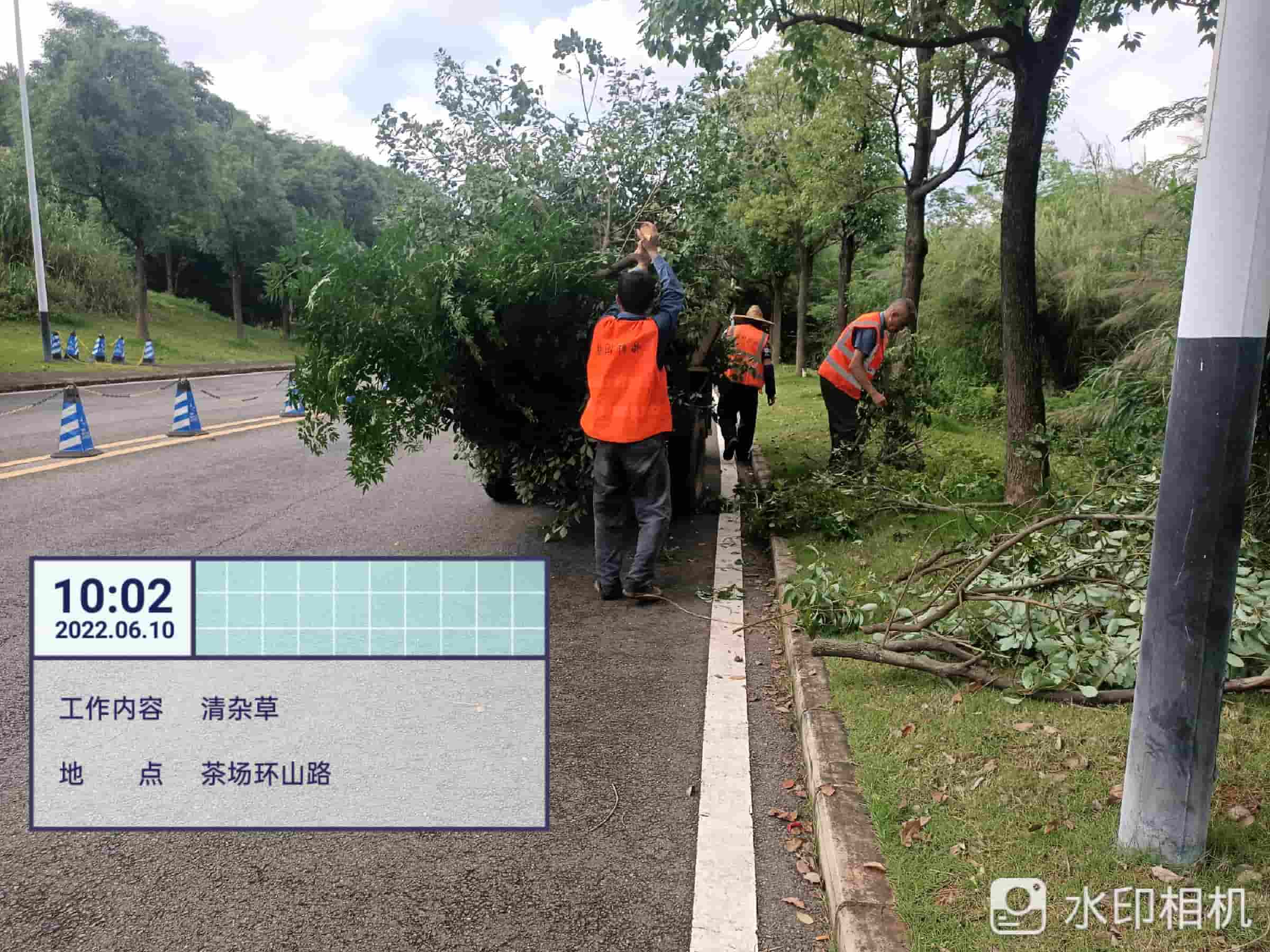 园林绿化养护,美的鹭湖