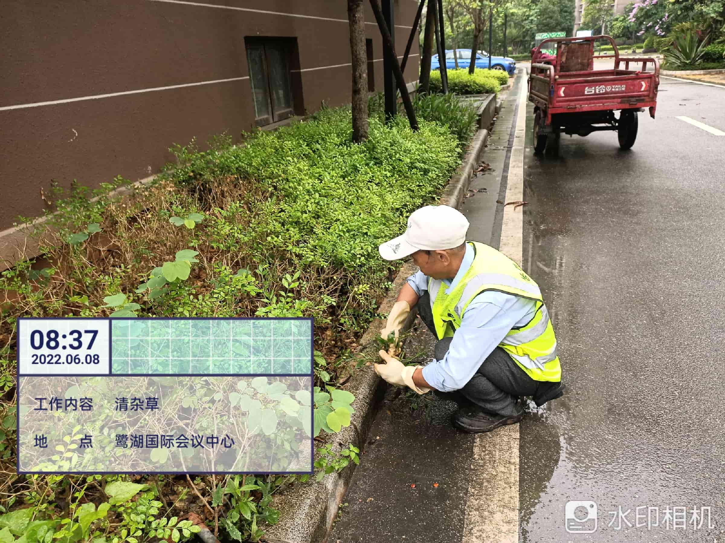 园林绿化公司,植物