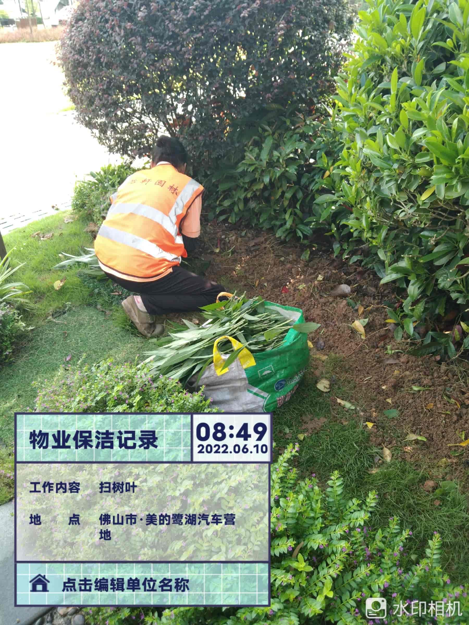 园林绿化公司,植物