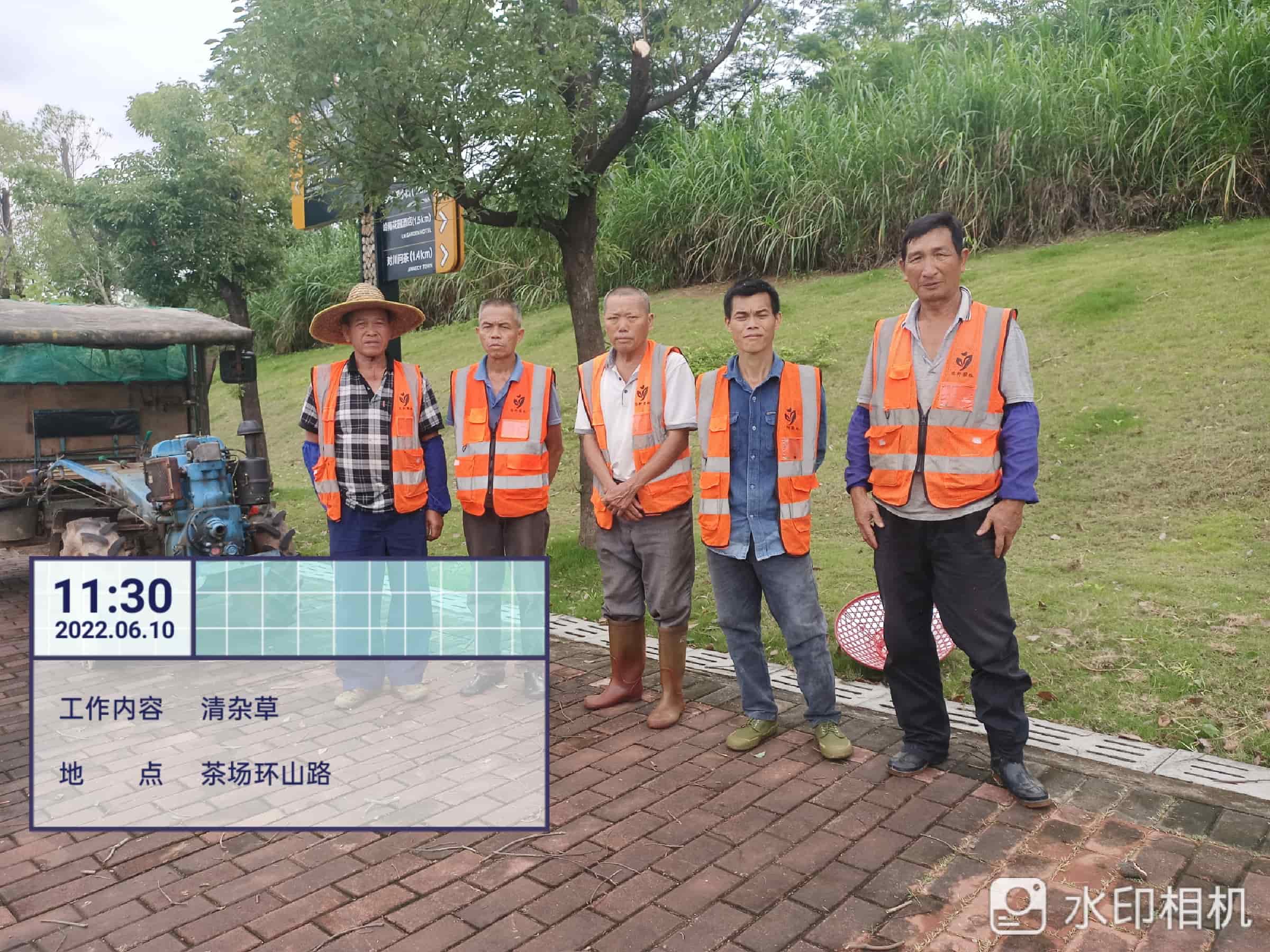 草坪,绿化养护,园林绿化公司