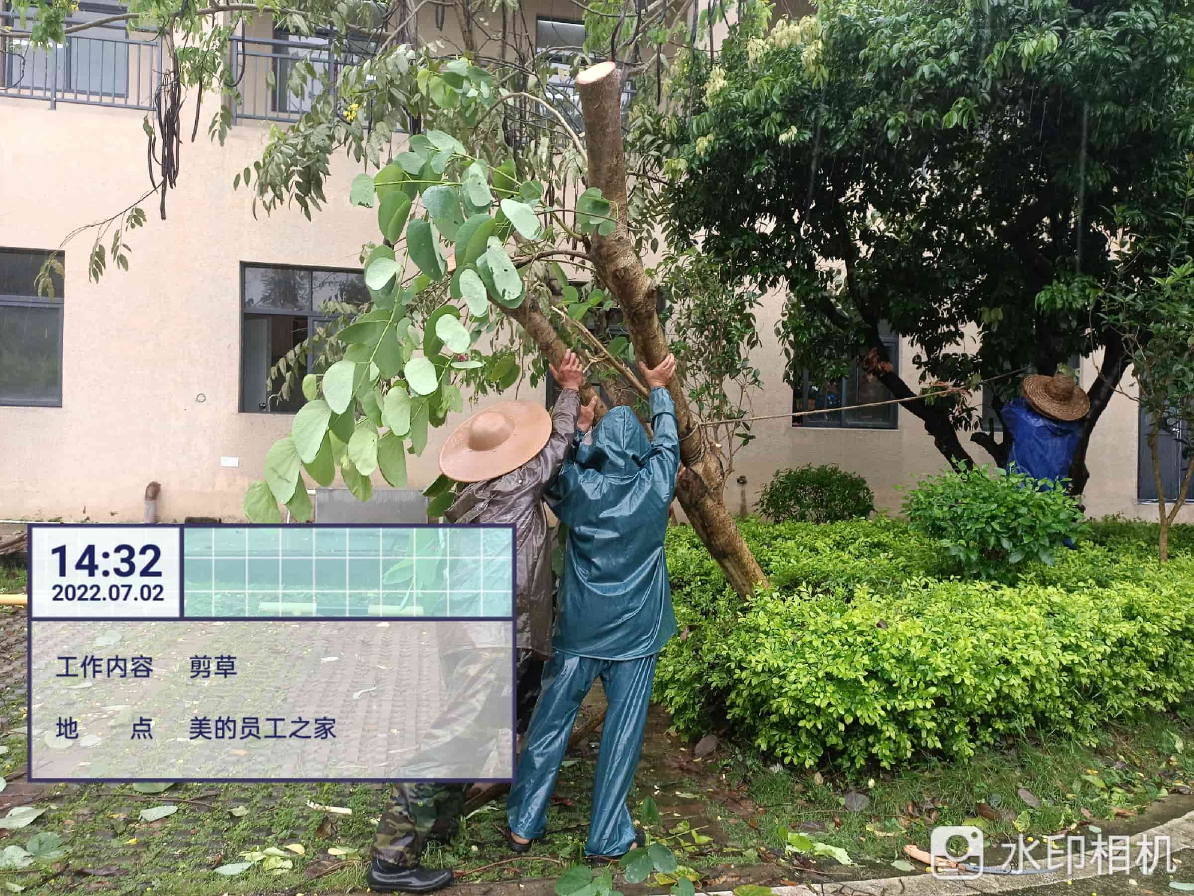 绿化养护