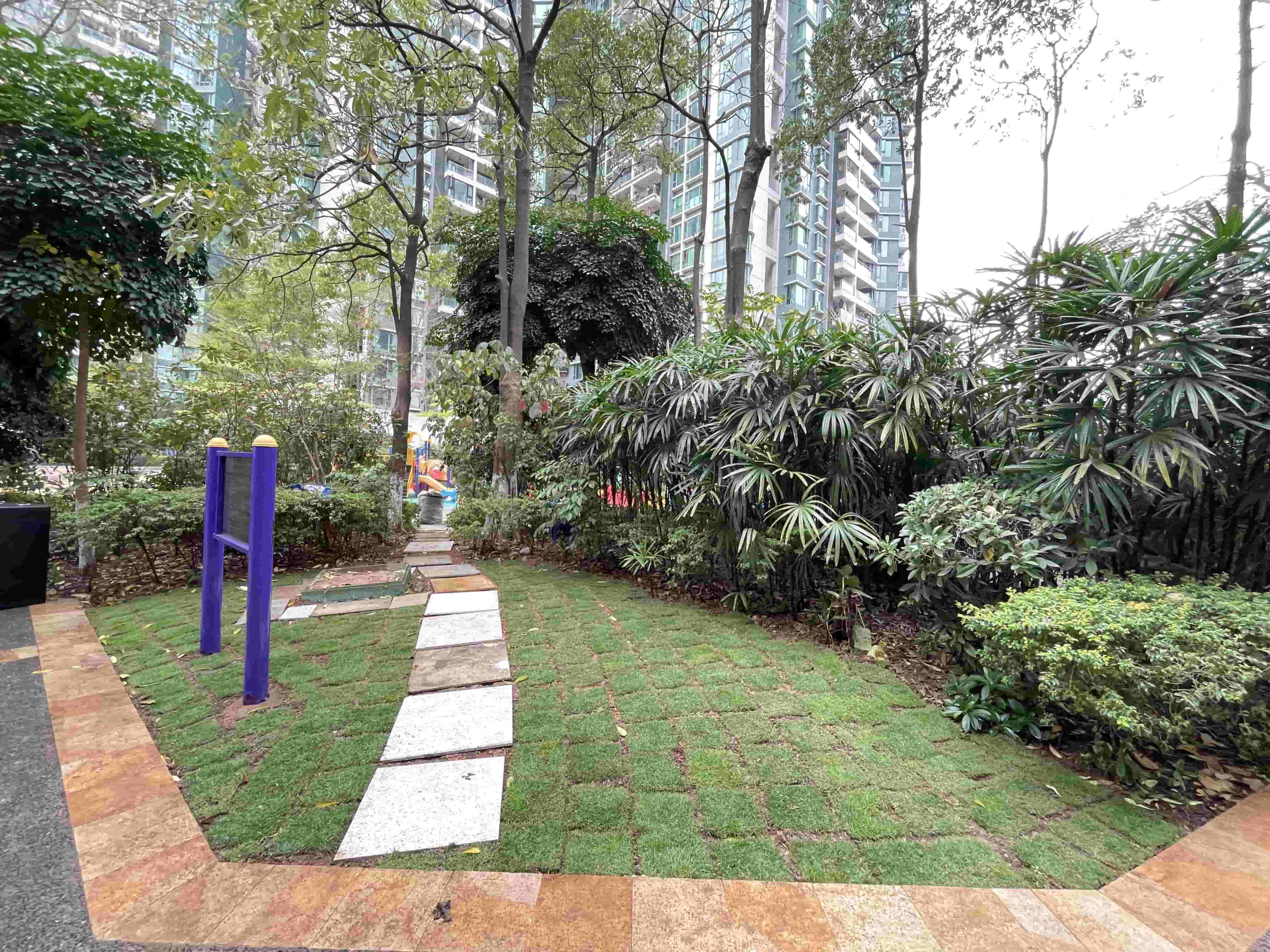 绿化养护 绿化养护