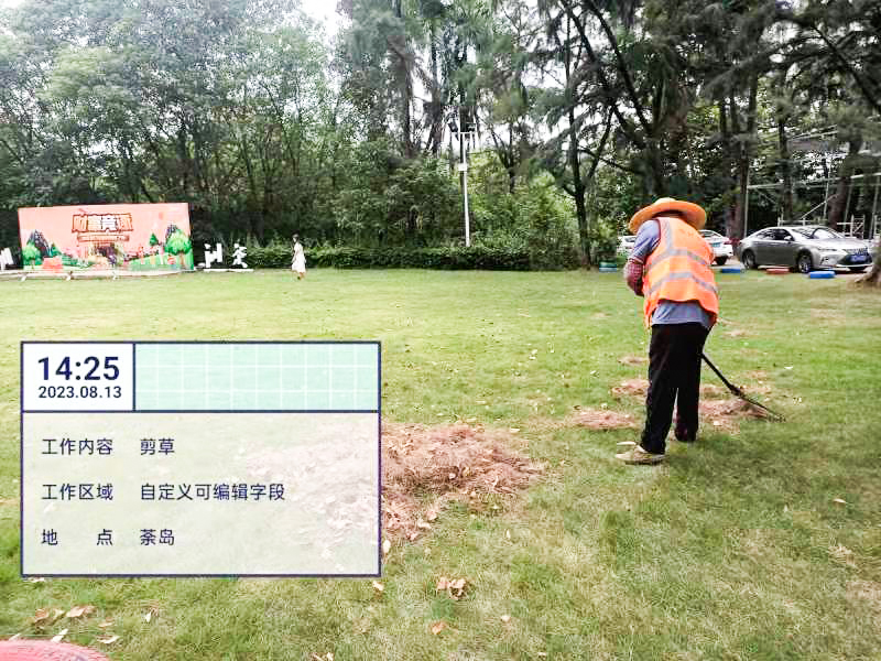 园林绿化养护