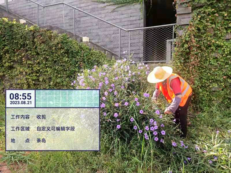 绿化养护