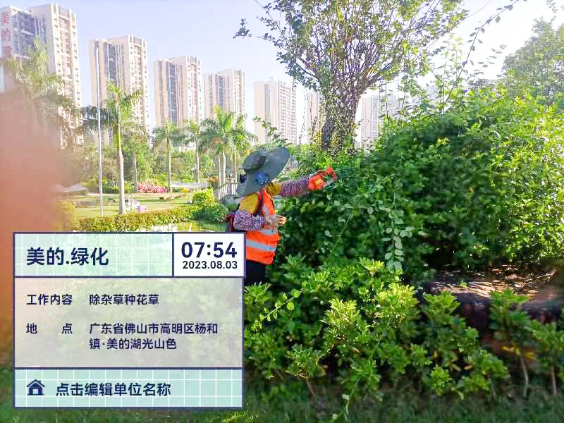 绿化养护