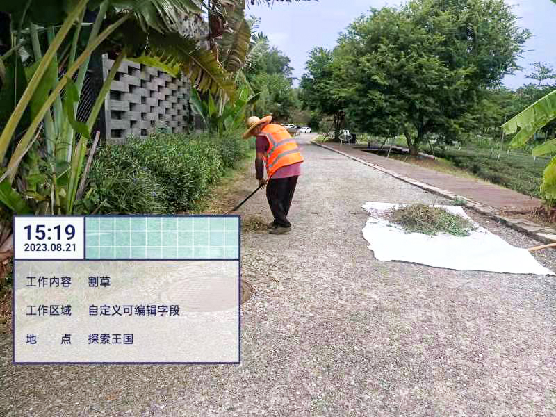 绿化工程 绿化工程