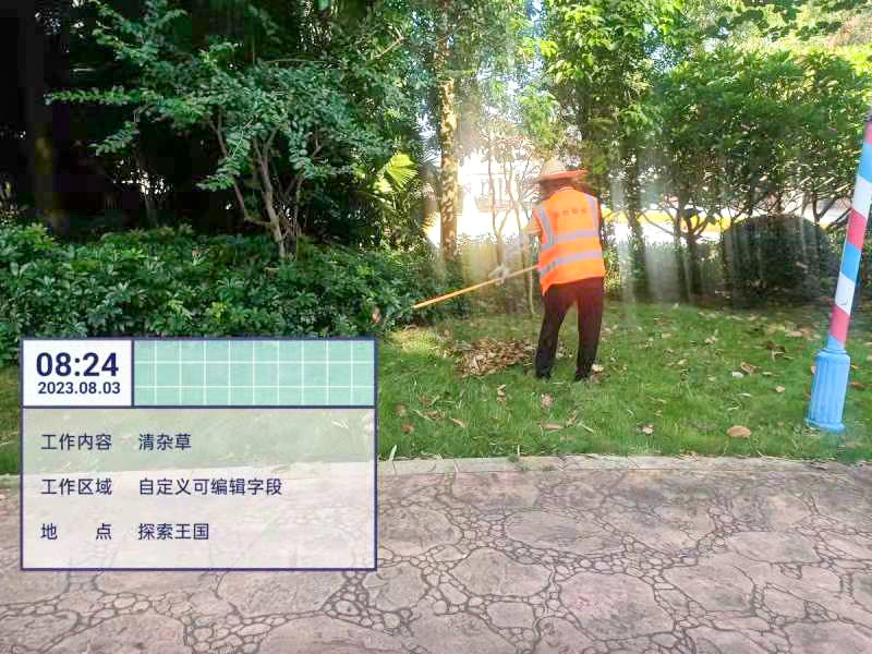 绿化养护 绿化养护