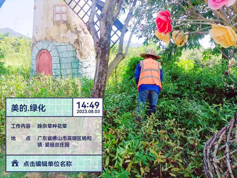 绿化养护 绿化养护